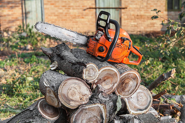 Best Stump Grinding Near Me  in Indian Hills, TX